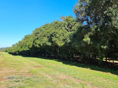 1808 Dunoon Road, Dunoon, NSW 2480, Australia