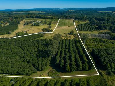 1808 Dunoon Road, Dunoon, NSW 2480, Australia