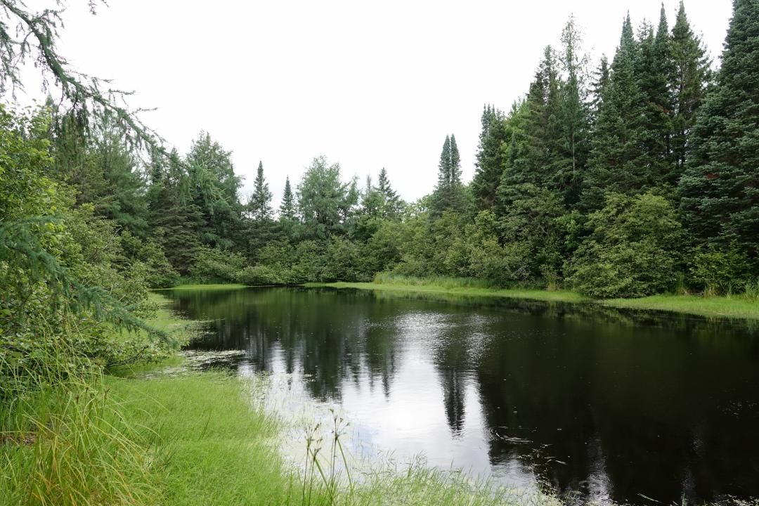 W6786 Silver Creek Rd, Ogema, Wisconsin 54459