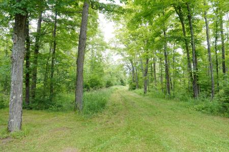 W6786 Silver Creek Rd, Ogema, Wisconsin 54459