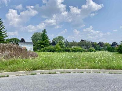 Fieldstone, Saginaw, Michigan 48603, USA
