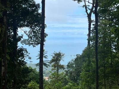 Uvita Bahía Ballena Osa, Puntarenas 00001, Costa Rica