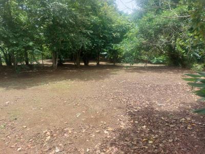 Parrita Parrita, Puntarenas 00001, קוסטה ריקה