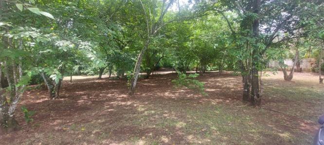 Parrita Parrita, Puntarenas 00001, קוסטה ריקה
