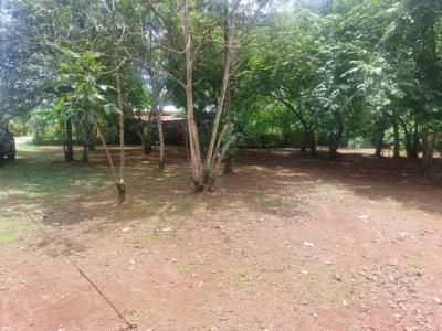 Parrita Parrita, Puntarenas 00001, קוסטה ריקה