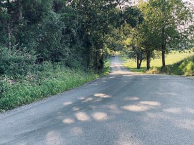 Lot 2 Falcon Road, Carbondale, Illinois 62901