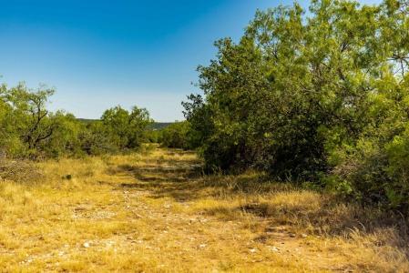 12243 Ranch Rd 783, Doss, Texas 78618, Estados Unidos