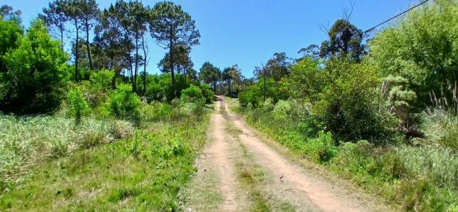 2 15, La Esmeralda, Rocha 00001, Uruguay