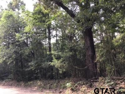 TBD CR 4244, Pittsburg, Texas 75686, Stati Uniti