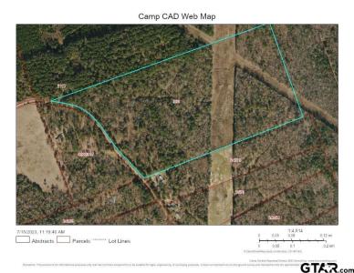 TBD CR 4244, Pittsburg, Texas 75686, Stati Uniti