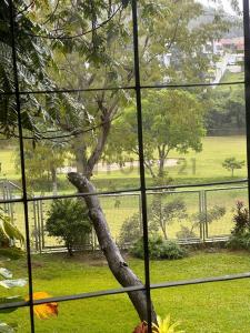 1 Guataparo Country Club, Valencia, Carabobo 2001, فنزويلا