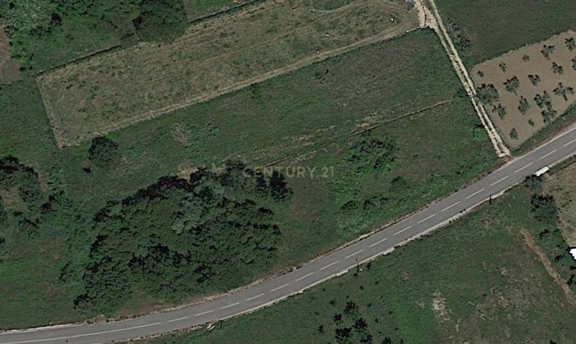 Ansião, Leiria 3100-347, Bồ Đào Nha