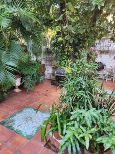 Del Rosario y Callejón La Esperanza 177, Lambaré, Central 123, 巴拉圭
