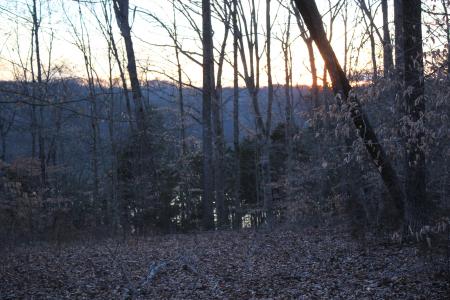 Lot 40 Anchor Way , Jamestown, Kentucky 42629