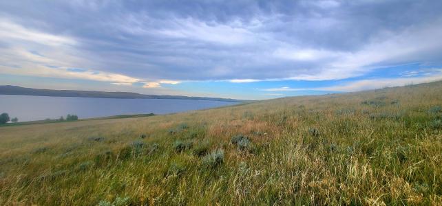 Lot 59 Waterfront Place, Buffalo, Wyoming 82834