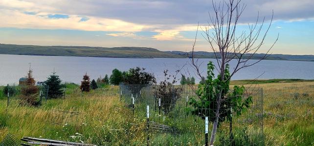 Lot 59 Waterfront Place, Buffalo, Wyoming 82834