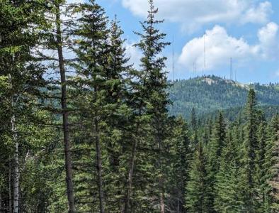 Lot 14 Block 5 Overlook Court, Lead, 南达科他州 57754, 美国