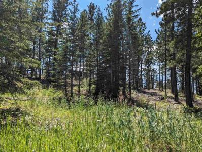 Lot 14 Block 5 Overlook Court, Lead, South Dakota 57754, USA