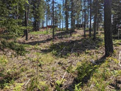 Lot 14 Block 5 Overlook Court, Lead, South Dakota 57754, USA