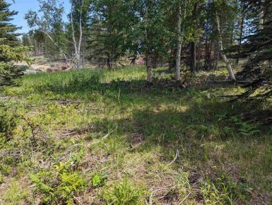 Lot 14 Block 5 Overlook Court, Lead, South Dakota 57754, USA