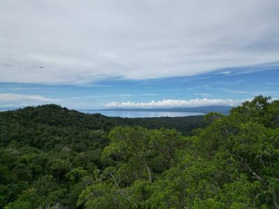 Mogos Sierpe Osa, Puntarenas 00001, Costa Rica
