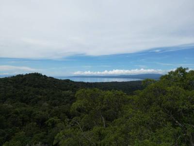 Mogos Sierpe Osa, Puntarenas 00001, Costa Rica