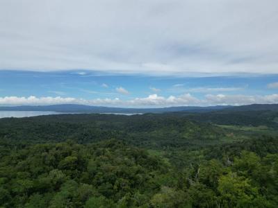 Mogos Sierpe Osa, Puntarenas 00001, Costa Rica