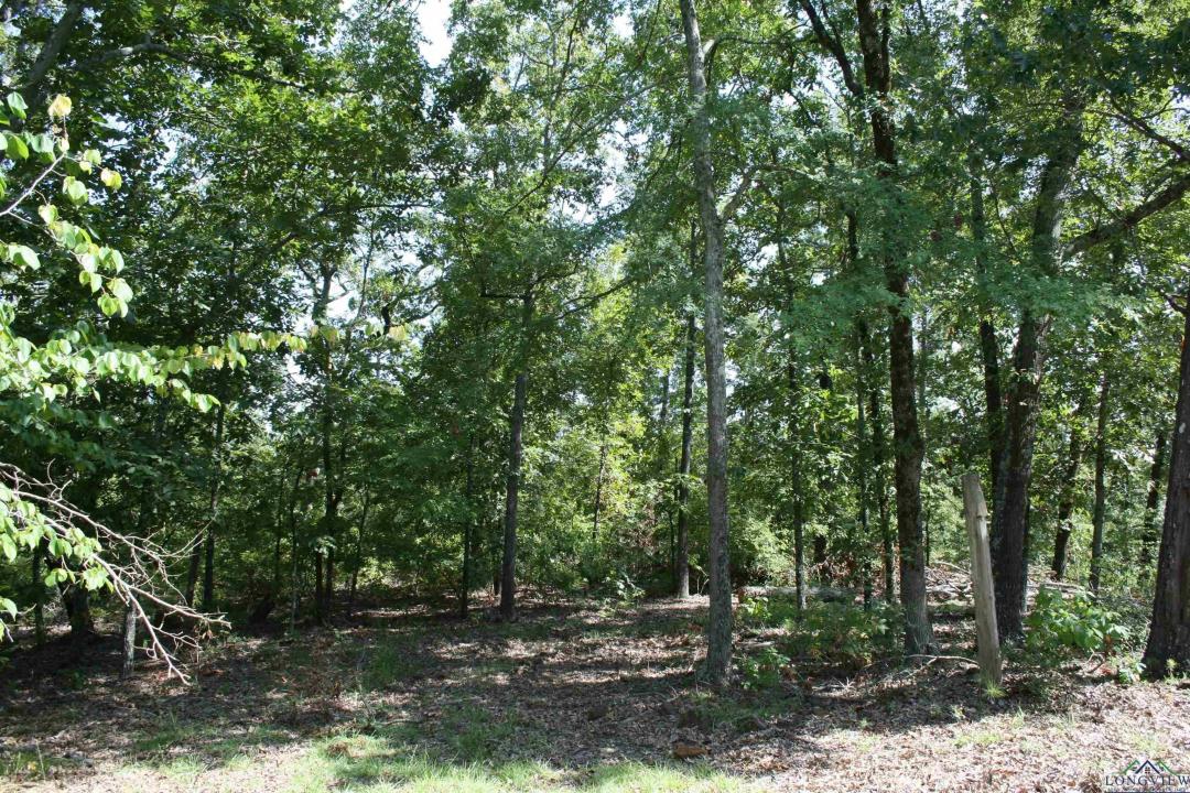 2372 CR 2993, Hughes Springs, Техас 75656, Соединенные Штаты