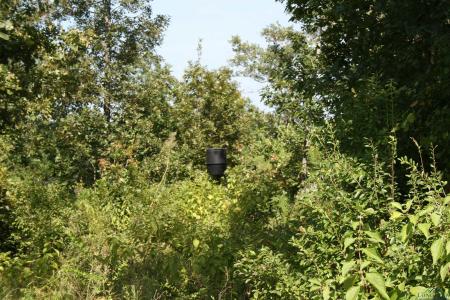 2372 CR 2993, Hughes Springs, Техас 75656, Соединенные Штаты