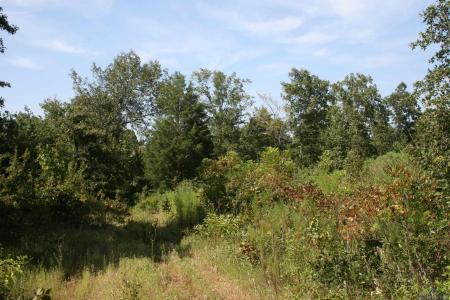 2372 CR 2993, Hughes Springs, Техас 75656, Соединенные Штаты