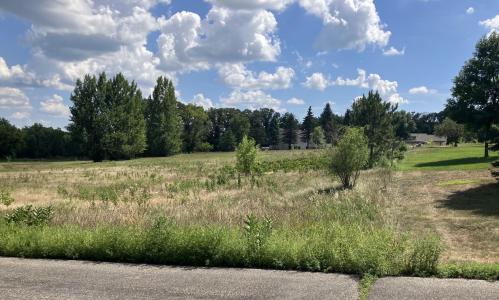 xxxxx Oakview Heights Trail, Fergus Falls, Minnesota 56537, Amerika Birleşik Devletleri