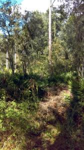 0 NE 134 PLACE, Citra, Florida 32113