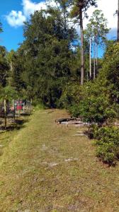 0 NE 134 PLACE, Citra, Florida 32113