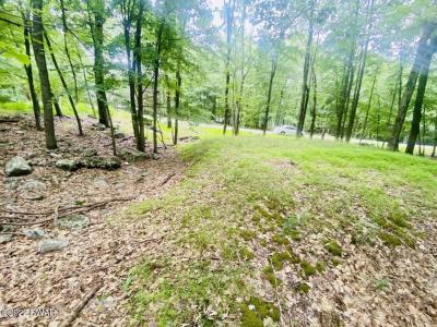 115 Saddlebrook Lane, Lords Valley, 賓夕法尼亞州 18428, 美國