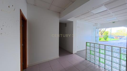 維塞島, 維塞島 3500-602, 葡萄牙