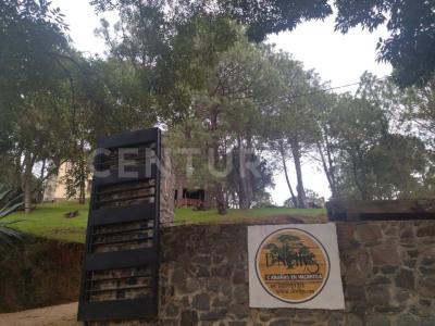 Prolongación Mitla S/N,, Mazamitla, ولاية خاليسكو 49500, المكسيك