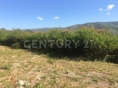 sin nombre sin numero,, Eduardo Neri, Guerrero 40180, Mexico