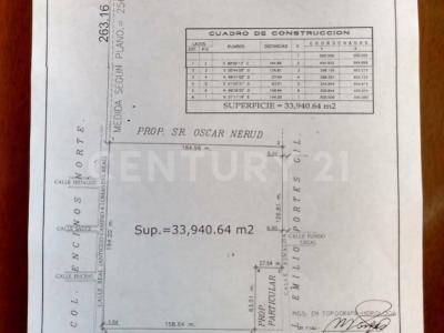 Altamira, Tamaulipas 89606, Mexico