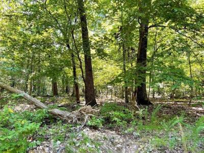 Alder Way, Tahlequah, Oklahoma 74464, USA