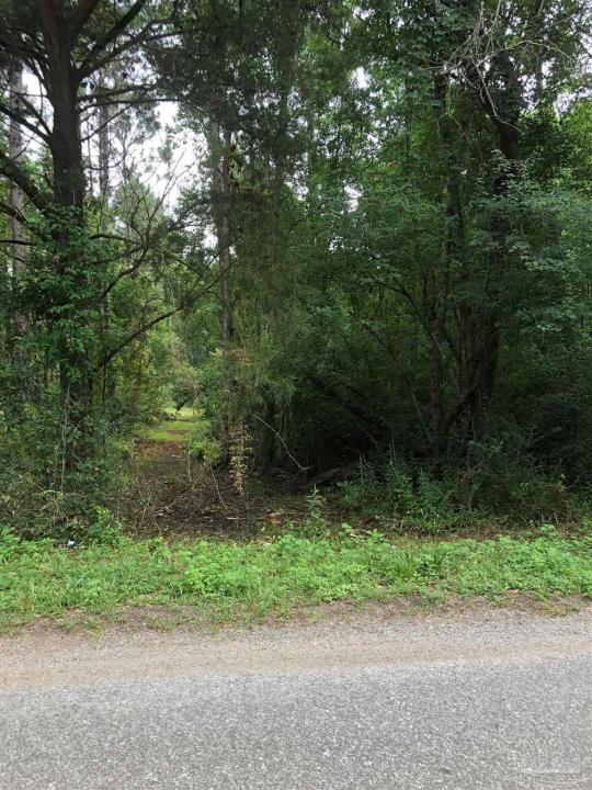 Lot 1 Eden Ln, Cantonment, Florida 32533