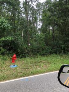 Lot 1 Eden Ln, Cantonment, Florida 32533