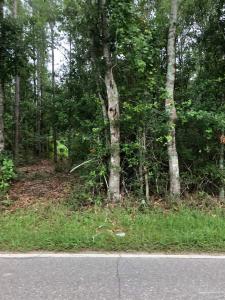 Lot 1 Eden Ln, Cantonment, Florida 32533