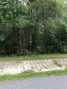 Lot 1 Eden Ln, Cantonment, Florida 32533, USA
