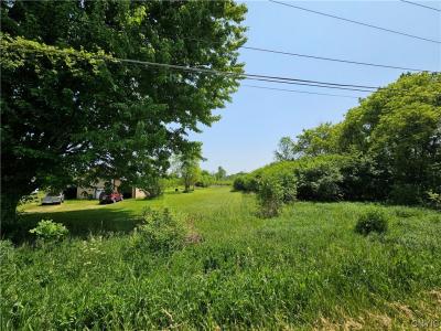 0 N Division Street Road, Auburn, 紐約州 13021, 美國