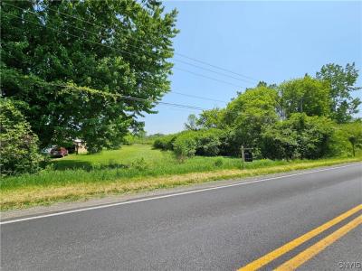 0 N Division Street Road, Auburn, 紐約州 13021, 美國