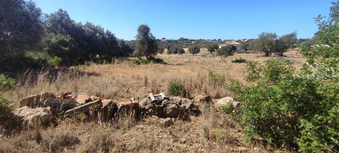Lagoa, Faro 8400-411, Portugal