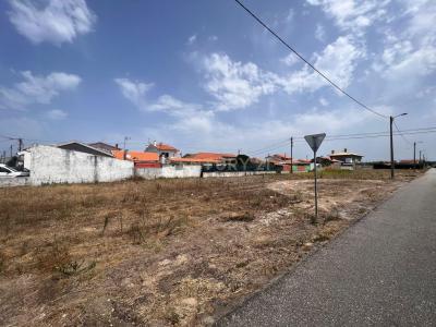 Ílhavo, Aveiro 3830-406, Portugal