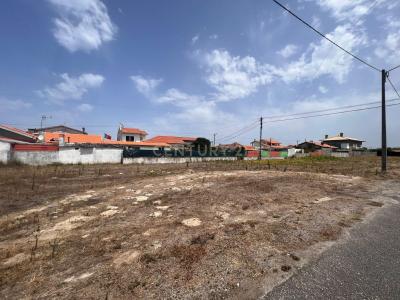 Ílhavo, Aveiro 3830-406, Portugal