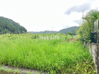 高岡町浦之名4116-3, 宮崎市, Miyazaki 880-2323, 日本