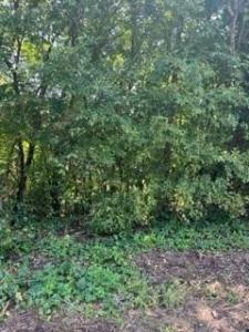 512 Seale Road S, Phenix City, Alabama 36867, USA